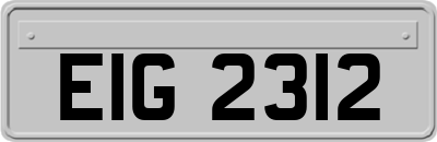 EIG2312