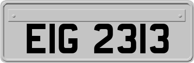 EIG2313