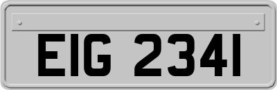 EIG2341