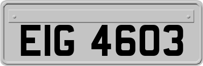 EIG4603