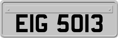 EIG5013