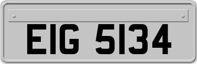 EIG5134