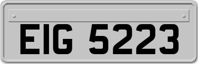 EIG5223