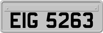 EIG5263