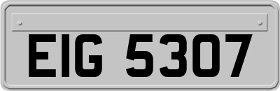 EIG5307