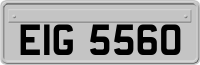 EIG5560