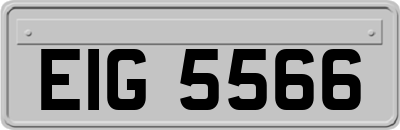 EIG5566