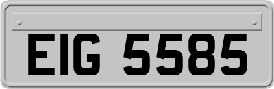 EIG5585