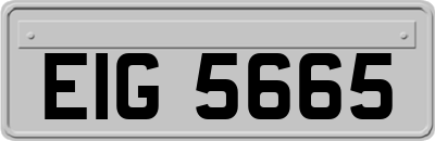 EIG5665