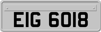 EIG6018