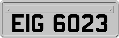 EIG6023