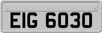 EIG6030