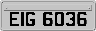 EIG6036