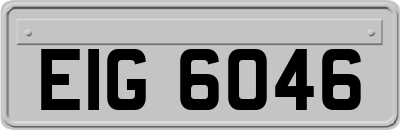 EIG6046