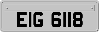 EIG6118