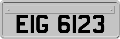 EIG6123