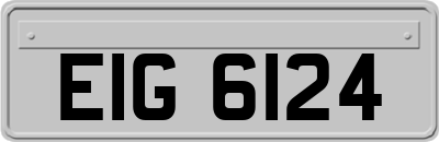 EIG6124