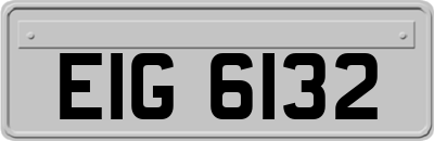 EIG6132