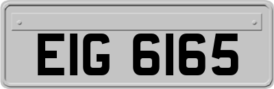 EIG6165