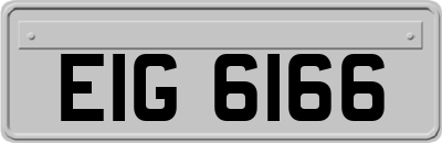 EIG6166