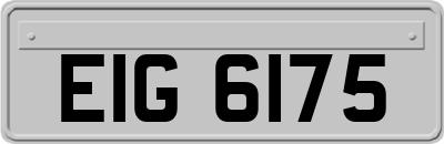 EIG6175