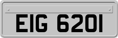 EIG6201