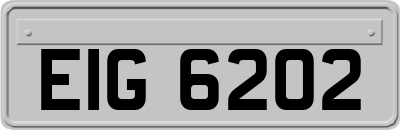 EIG6202