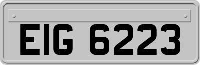 EIG6223