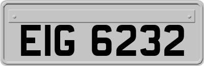 EIG6232