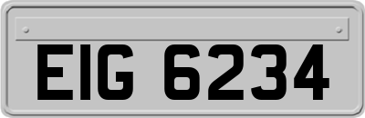 EIG6234