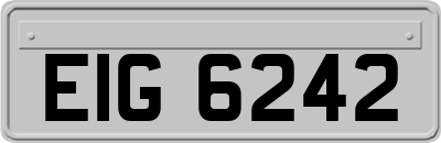 EIG6242