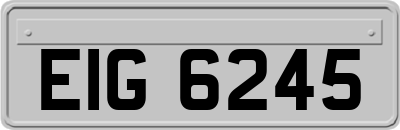 EIG6245
