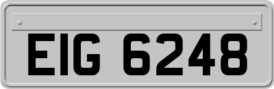 EIG6248