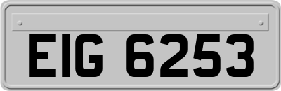 EIG6253