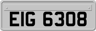 EIG6308