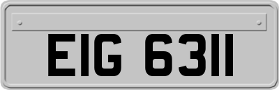 EIG6311