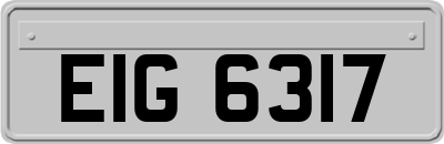 EIG6317