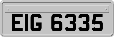 EIG6335