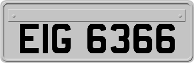 EIG6366