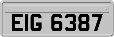EIG6387