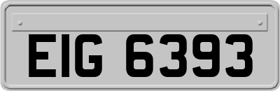 EIG6393