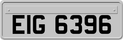 EIG6396