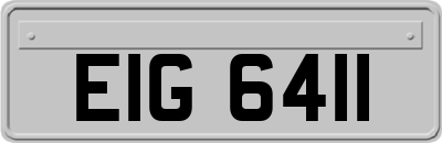 EIG6411