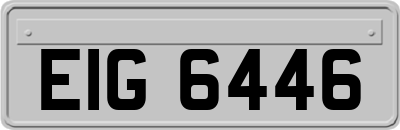EIG6446