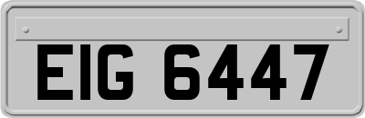 EIG6447