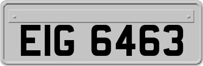 EIG6463