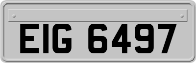 EIG6497
