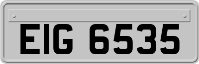 EIG6535