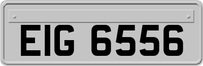 EIG6556