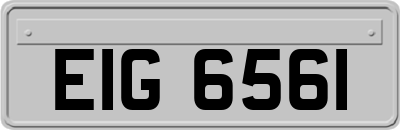 EIG6561